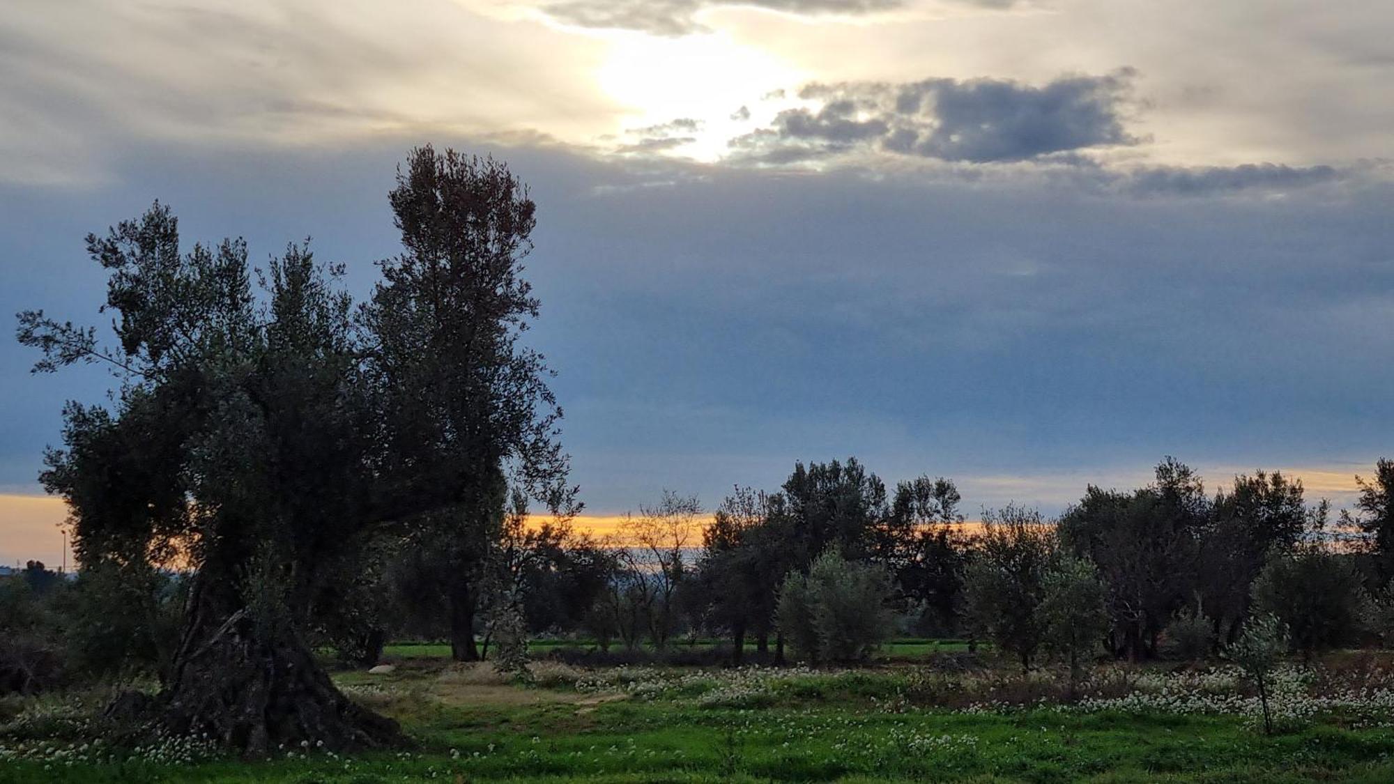 Les Valletes Arnés Dış mekan fotoğraf